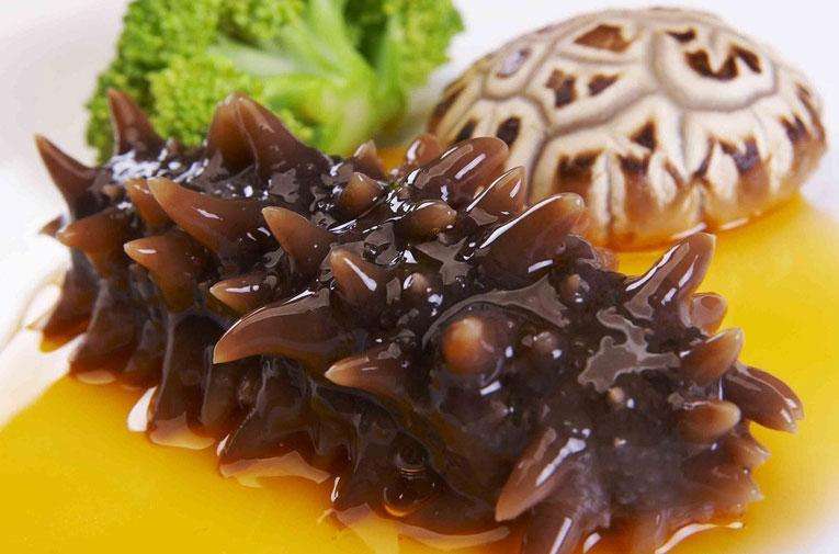 开云官方在线入口